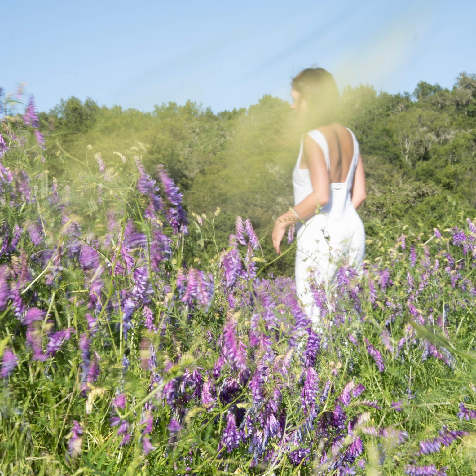 The Scent That Finds You
